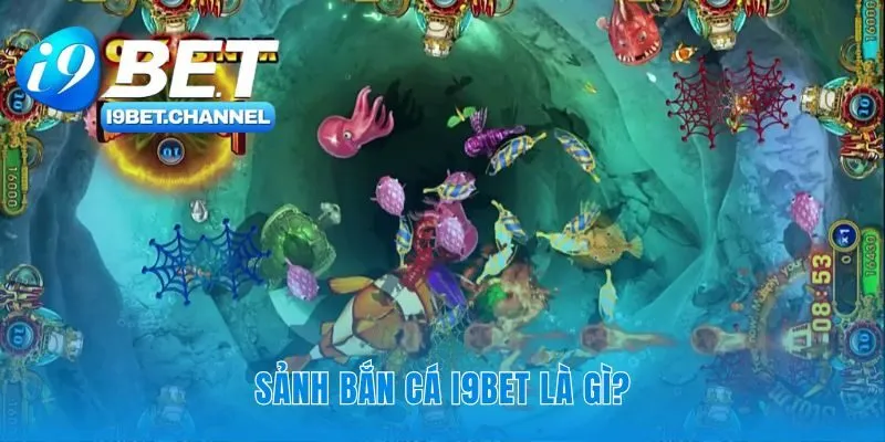 Một khu vực riêng cho đam mê săn thưởng dưới nước